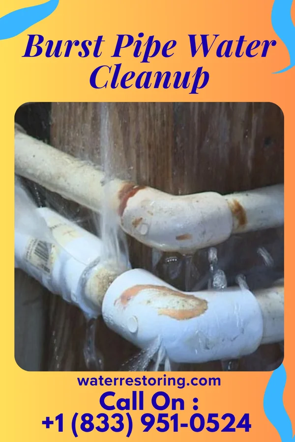 Burst Pipe Water Cleanup in Ruthven, IA
